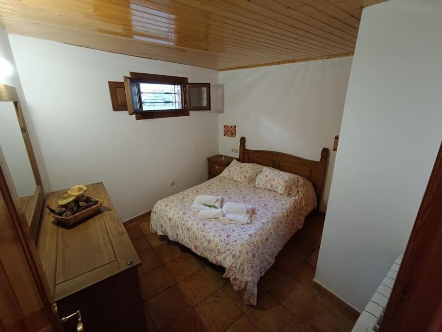 Appartement Arena Tu En *