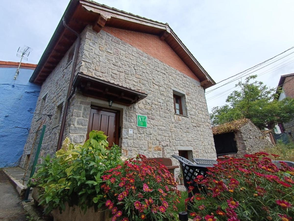 Apartament Arena Tu En *